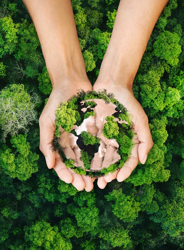 森と人を育てていく木の未来への想い