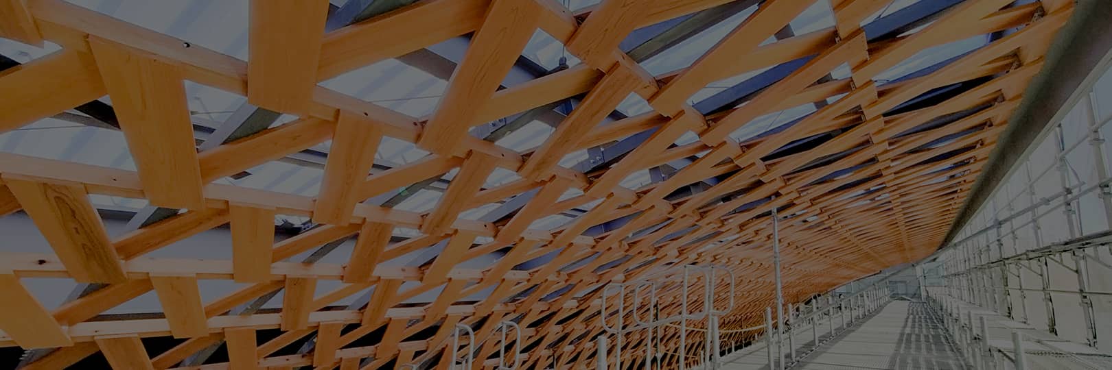 中大規模木造施設