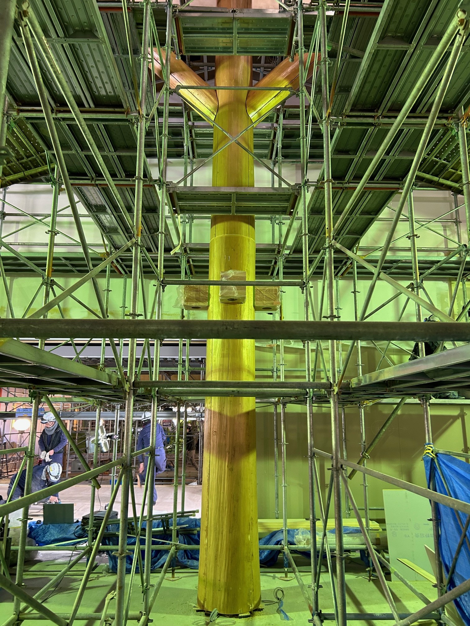 某施設　杉四つ割