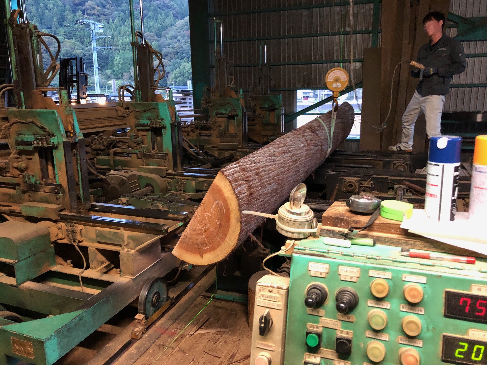 某施設　杉四つ割